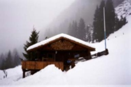 h011.jpg
